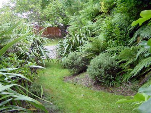 Turangi Trout Lodge Exterior foto